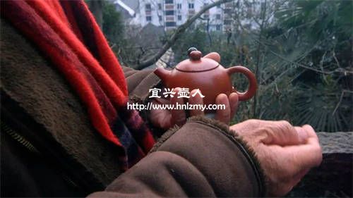 怎么用紫砂壺泡不同的茶葉